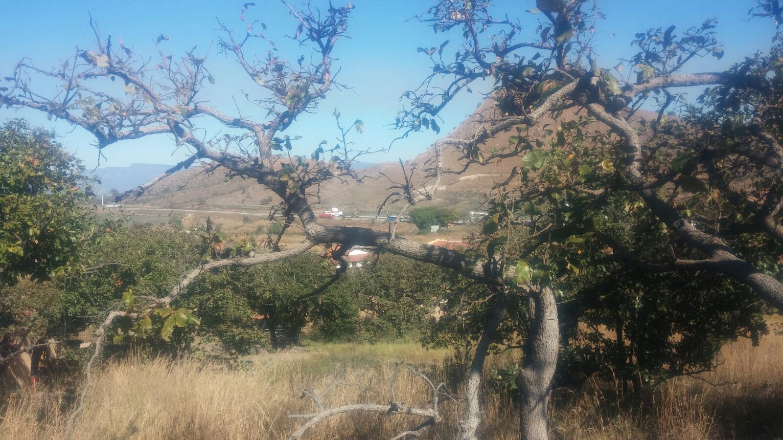 TERRENO  EN VENTA EN SANTA SOFIA, ARENAL (5)RO — foto 2