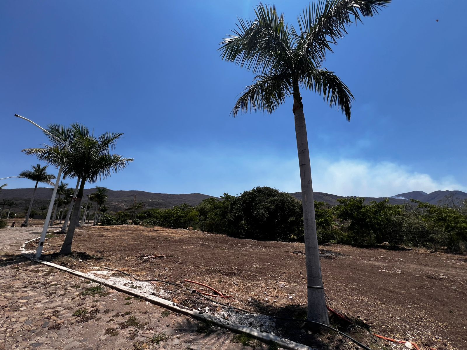 TERRENO EN VENTA EN TUXCUECA, JAL. (5)A — foto 2