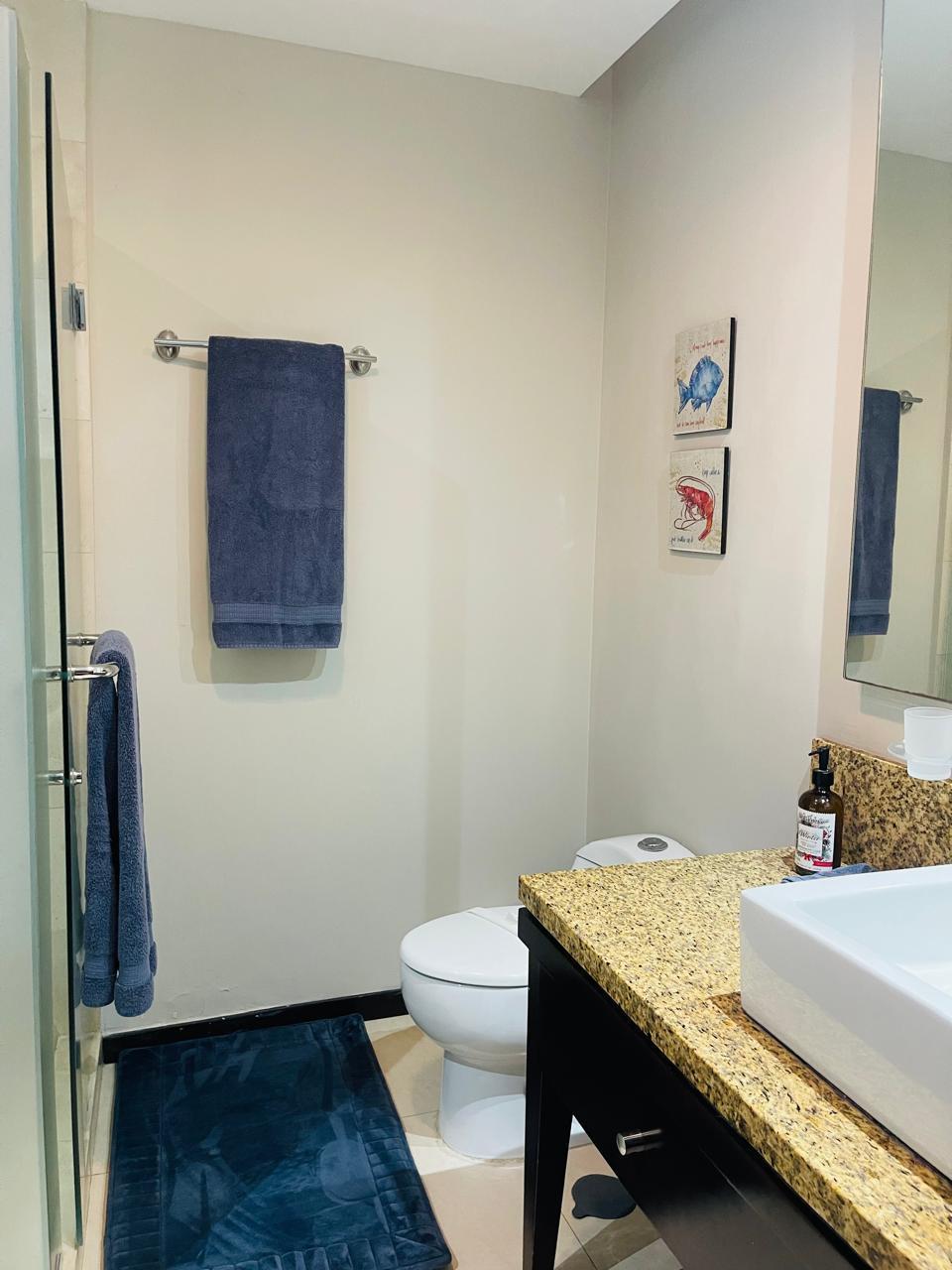 DEPARTAMENTO EN VENTA EN PUERTO VALLARTA (3)E — foto 3