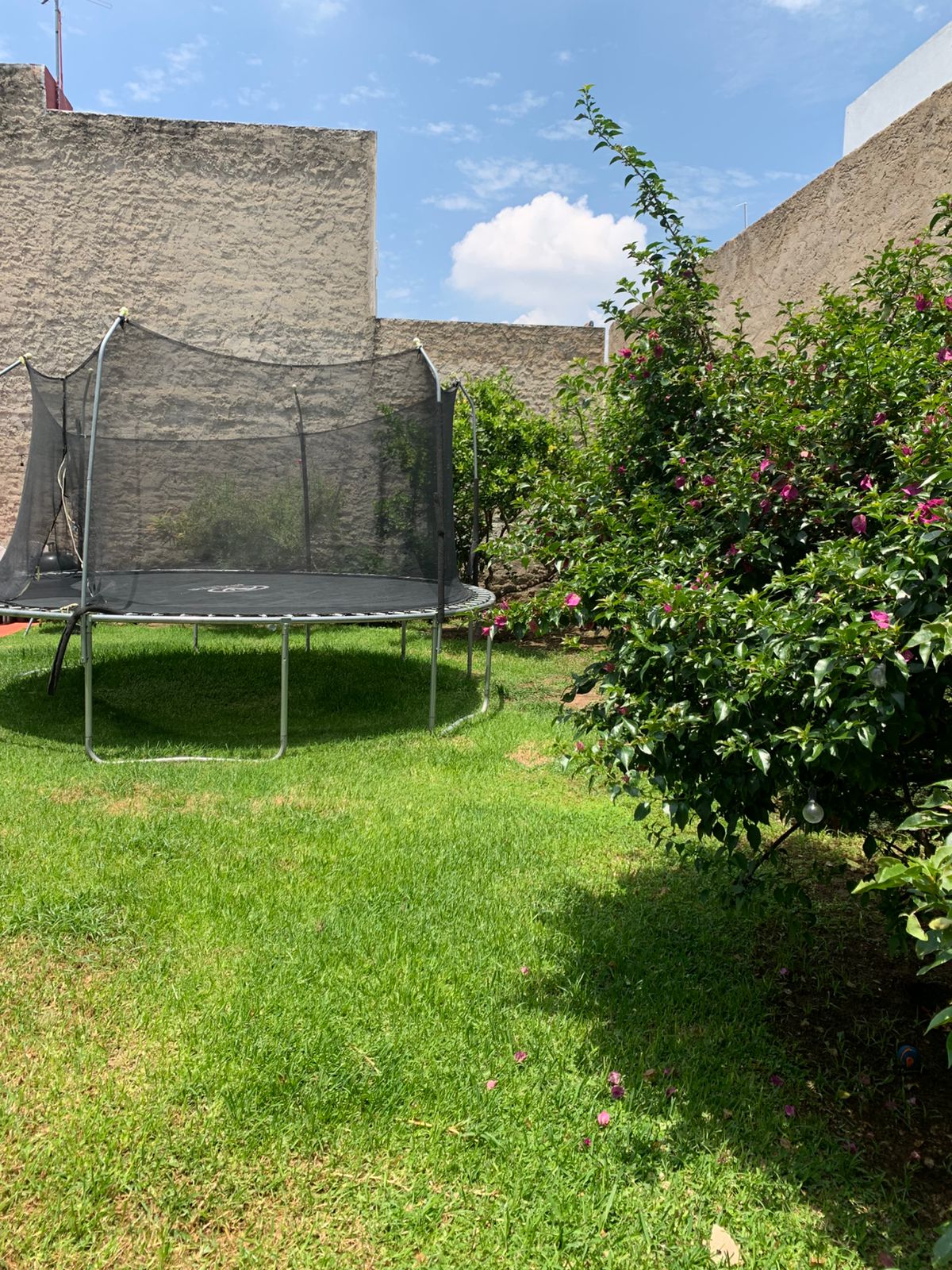 TERRENO EN VENTA COTO LOS ALMENDROS  (5)RO — foto 3