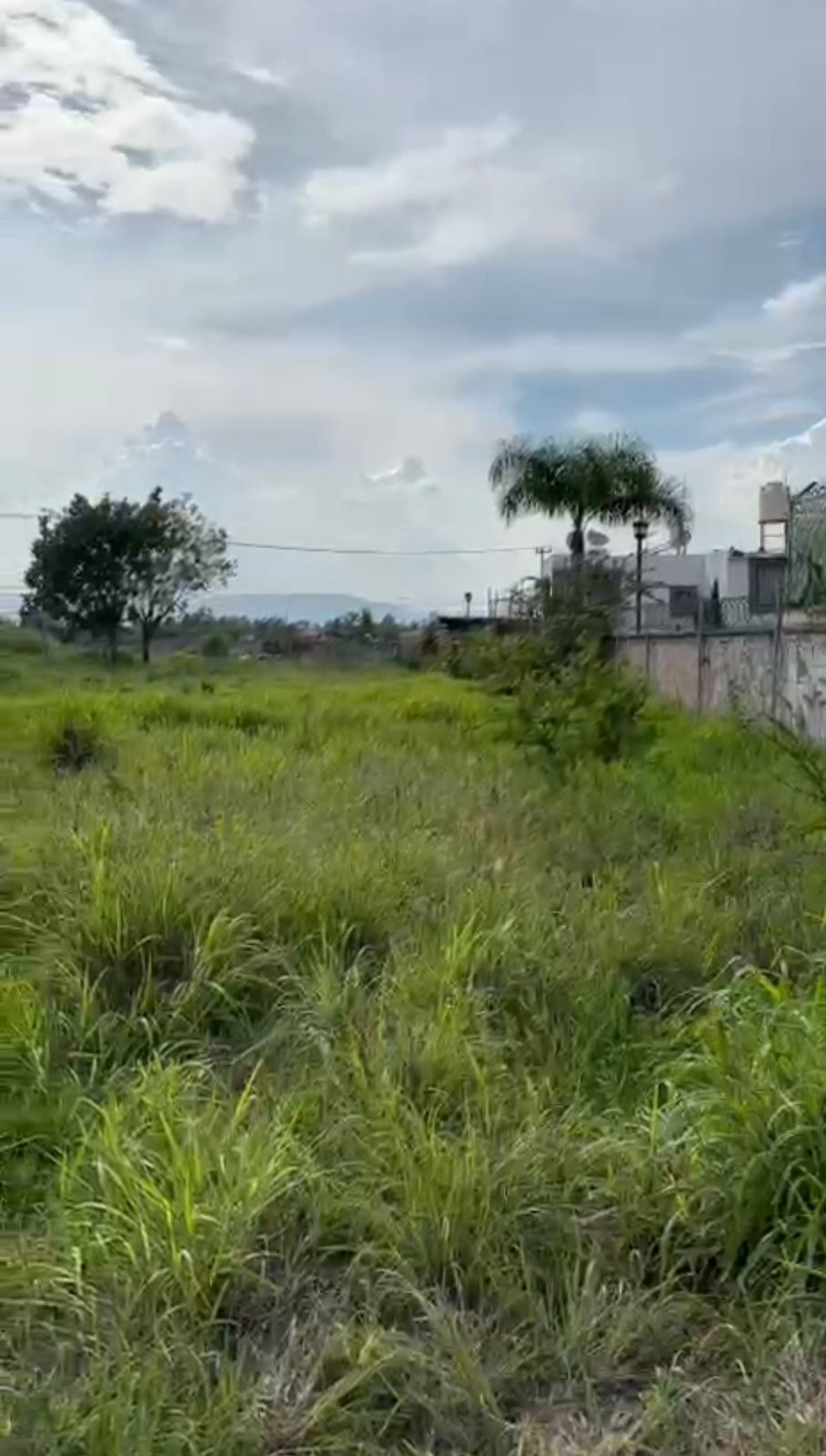 TERRENO EN VENTA EN CONCEPCION DEL VALLE (4)E — foto 2