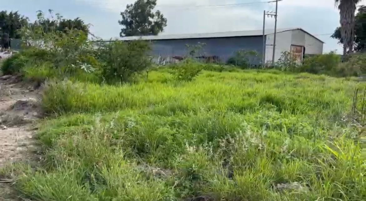 TERRENO EN VENTA EN CONCEPCION DEL VALLE (4)E — foto 3