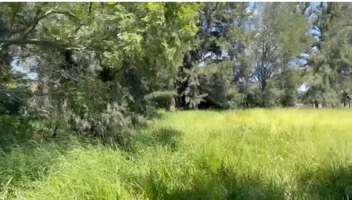 TERRENO EN VENTA EN TALA (4)RI — foto 2