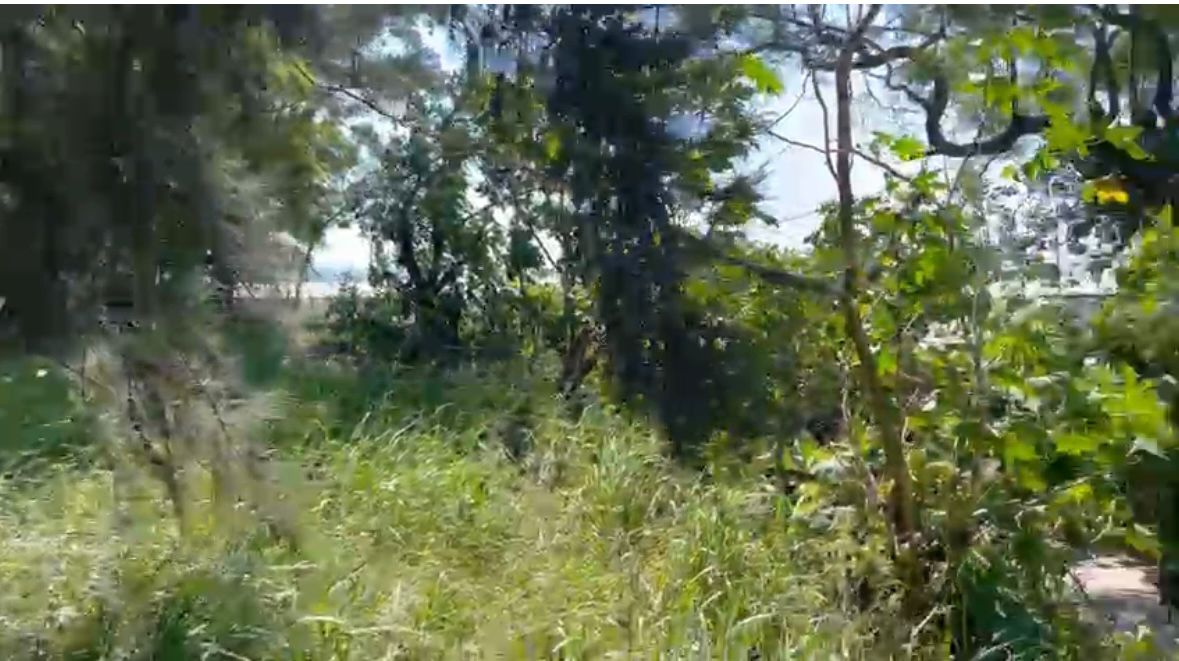 TERRENO EN VENTA EN TALA (4)RI — foto 3