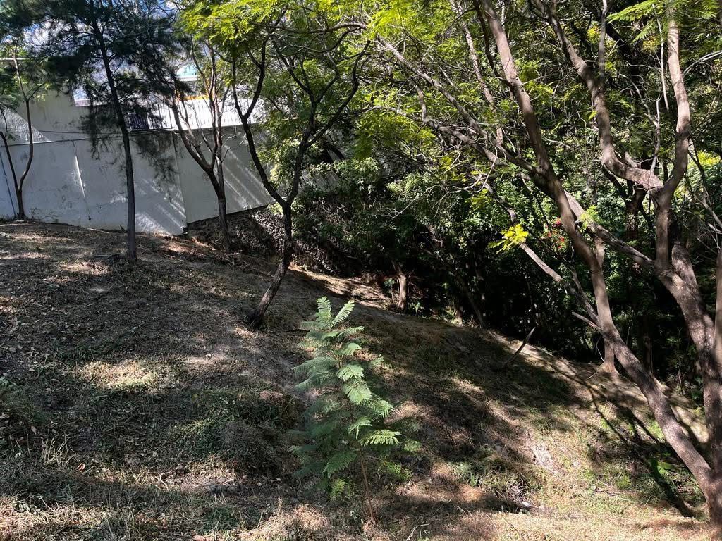 TERRENO EN VENTA EN TLAYACAPAN, CHAPALA  (7)RI — foto 2