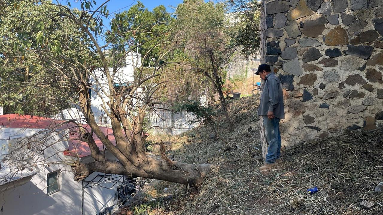 TERRENO EN VENTA EN LAS CAÑADAS (5)RI — foto 3