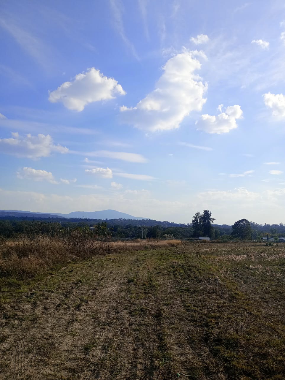 TERRENO EN VENTA EN ARENAL, JAL. (4)A — foto 2