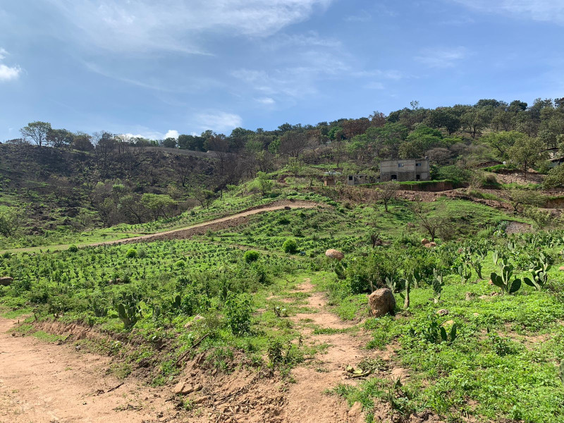 TERRENO EN VENTA EN SAN SEBASTIAN (3)RI — foto 2