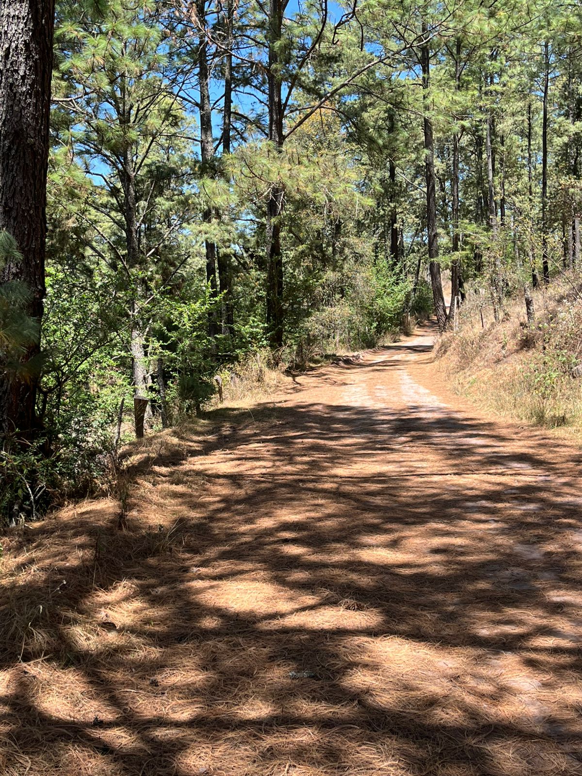 TERRENO EN VENTA EN ATEMAJAC DE BRIZUELA (5)E — foto 2