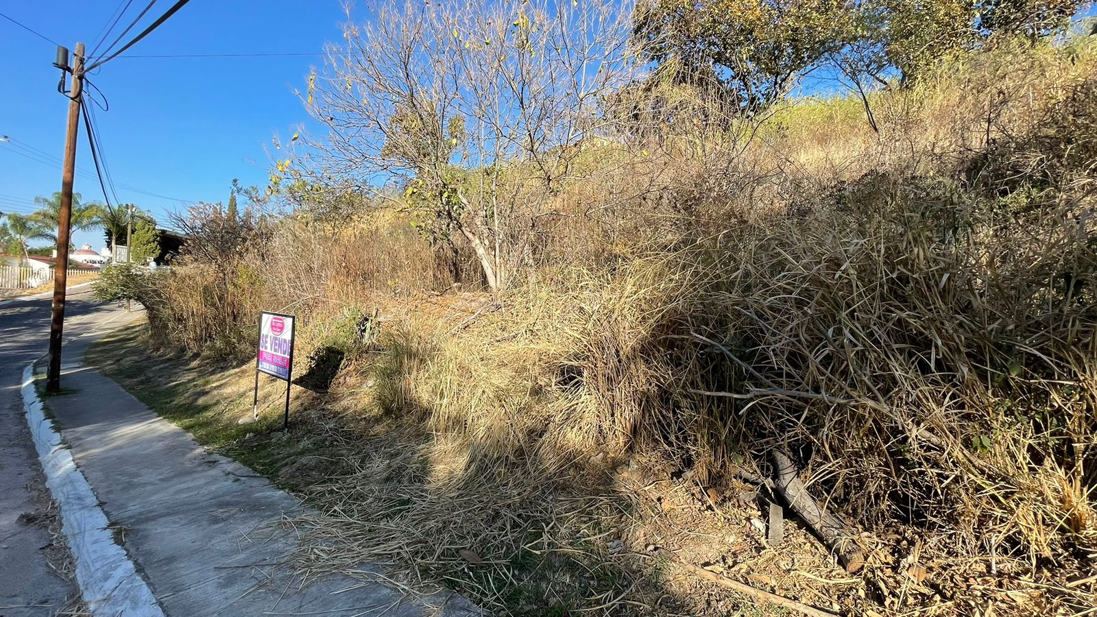 TERRENO EN VENTA BOSQUES DE LA PRIMAVERA LOTE 18 LAS CAÑADAS (4)RI — foto 2