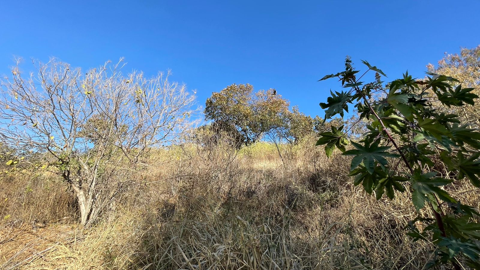 TERRENO EN VENTA BOSQUES DE LA PRIMAVERA LOTE 18 LAS CAÑADAS (4)RI — foto 3