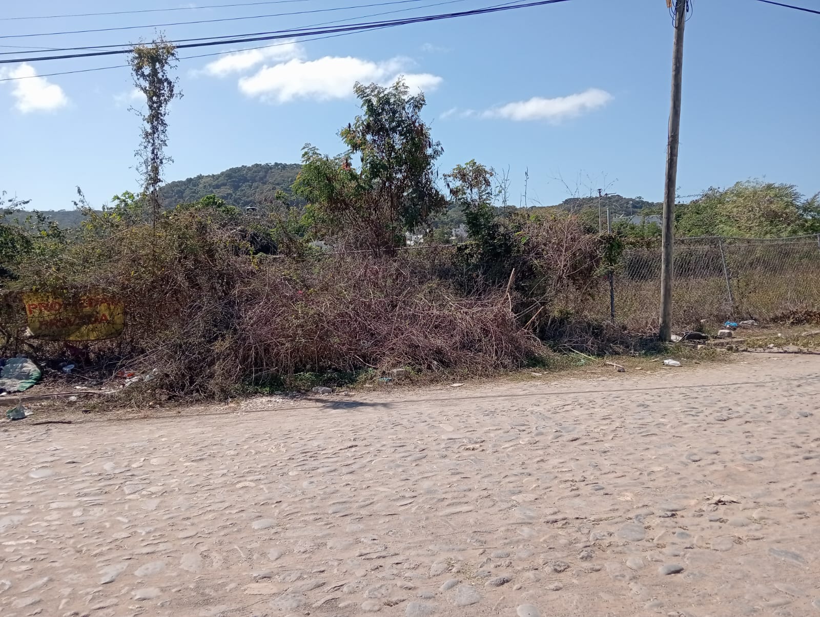 TERRENO EN VENTA EN RINCON DE GUAYABITOS (5)P — foto 2