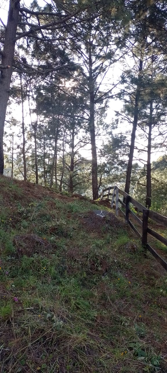 TERRENO EN VENTA EN MAZAMITLA (5)RI — foto 2