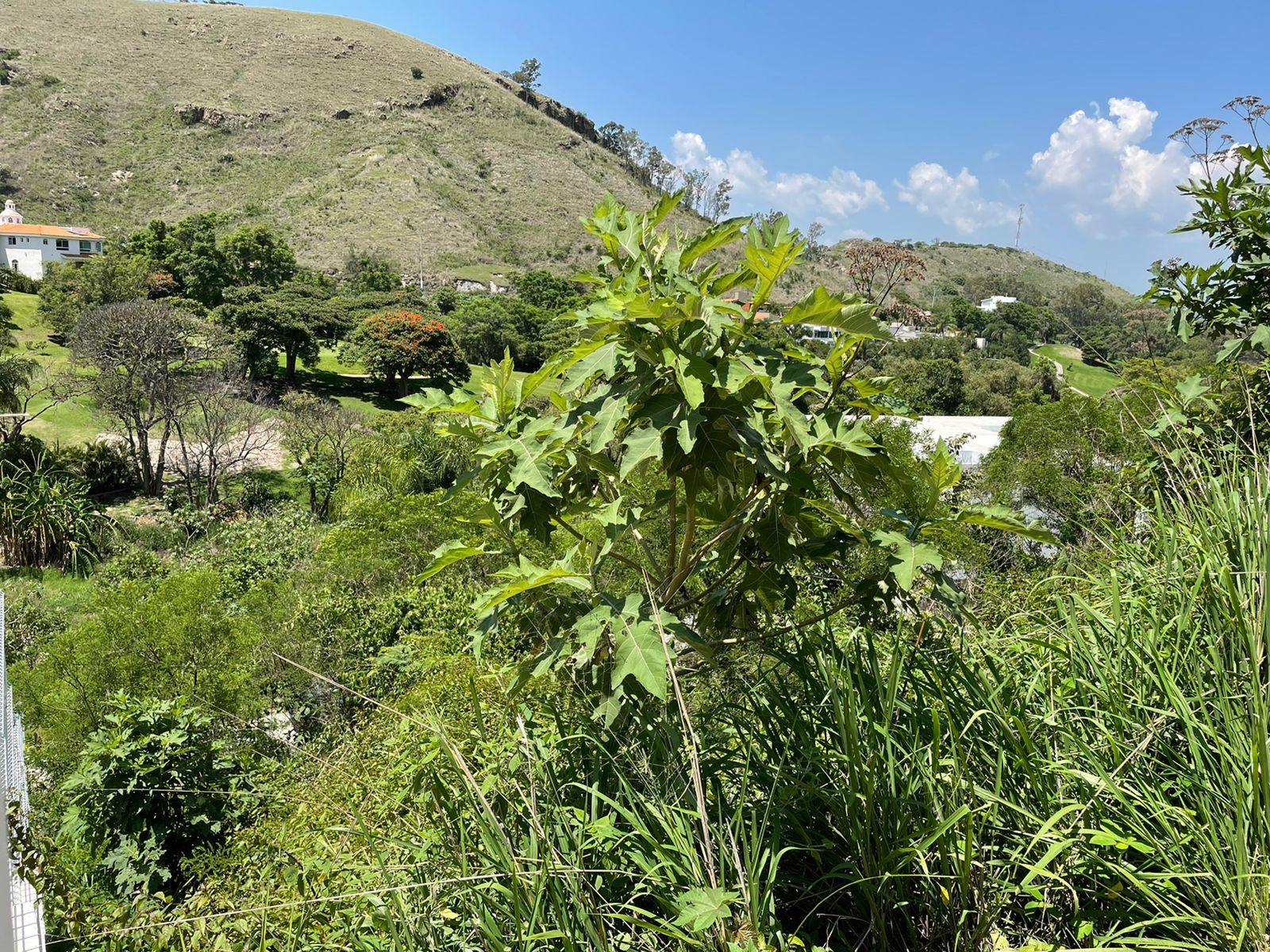 TERRENO EN VENTA EN LAS CAÑADAS (4)RI — foto 2