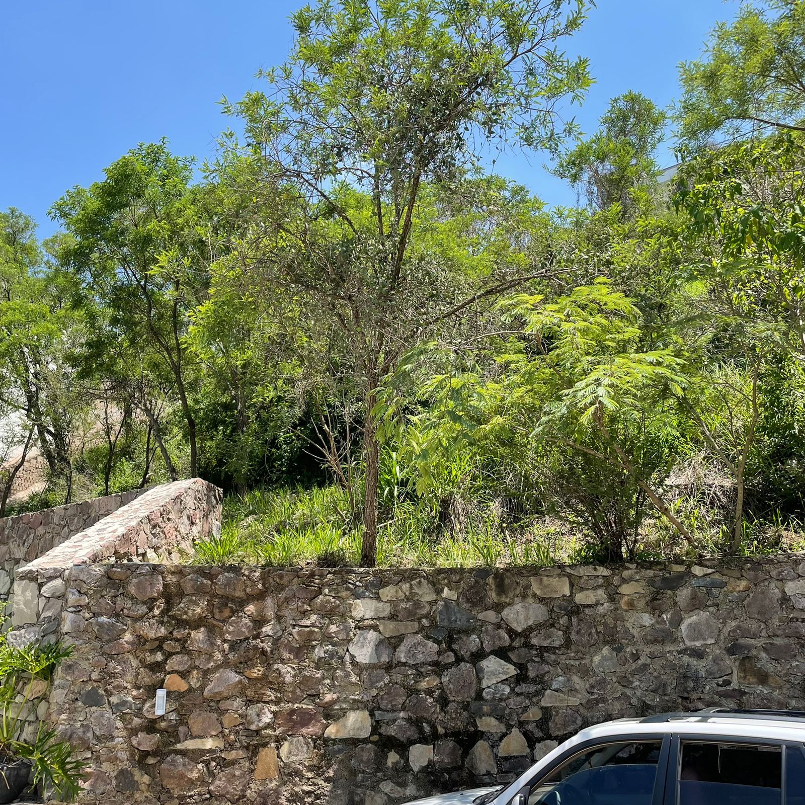 TERRENO EN VENTA EN LAS CAÑADAS (4)RI — foto 3