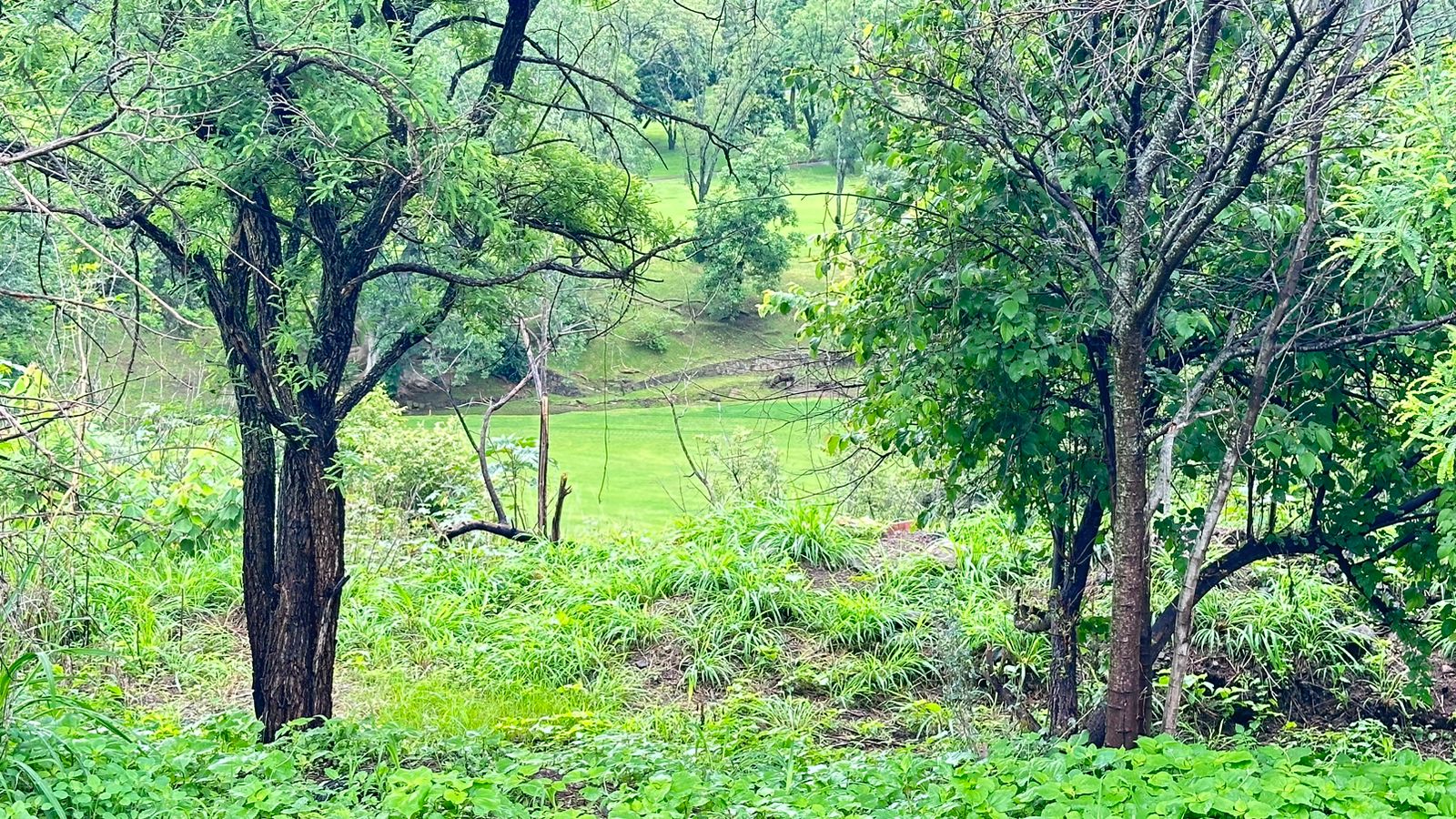 TERRENO EN VENTA EN LAS CAÑADAS (4)RI — foto 3