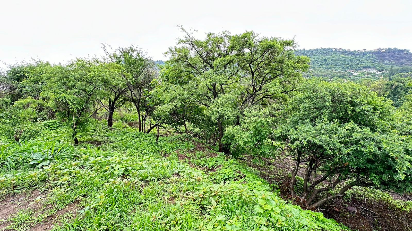TERRENO EN VENTA EN LAS CAÑADAS (4)RI — foto 2