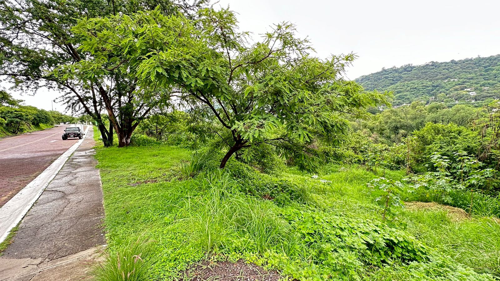 TERRENO EN VENTA EN LAS CAÑADAS (4)RI — foto 3