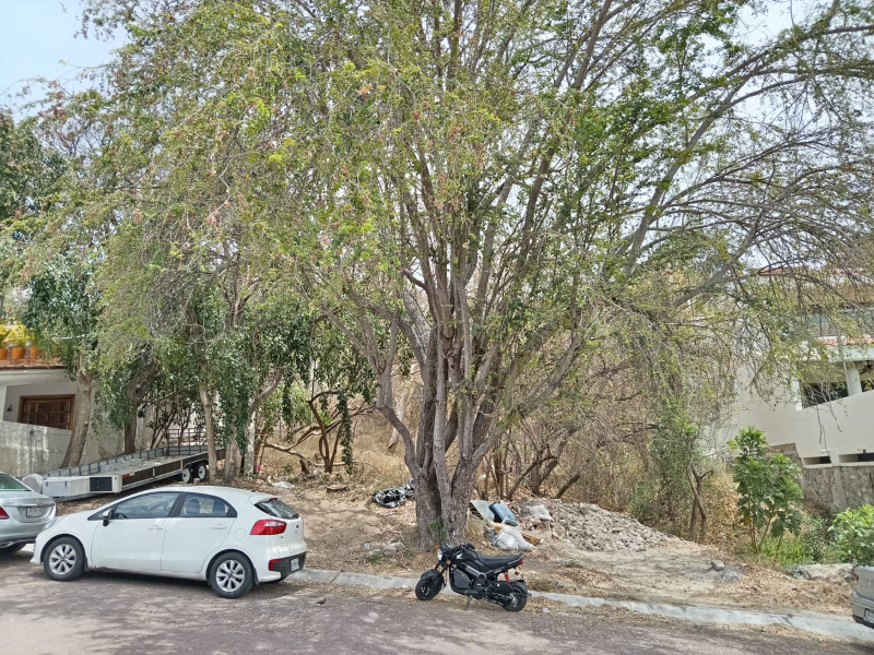 TERRENO EN VENTA EN LA NOGALERA (4)A — foto 3