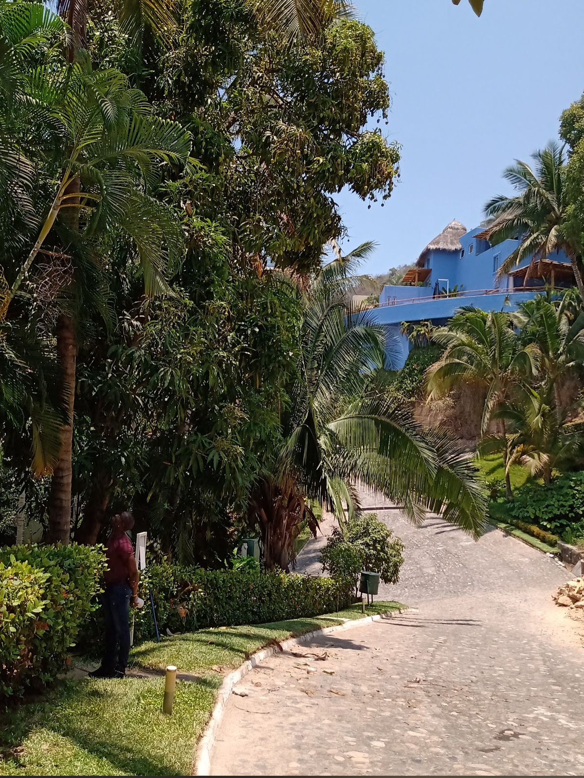 TERRENO EN VENTA EN PUERTO VALLARTA (8)RI — foto 2