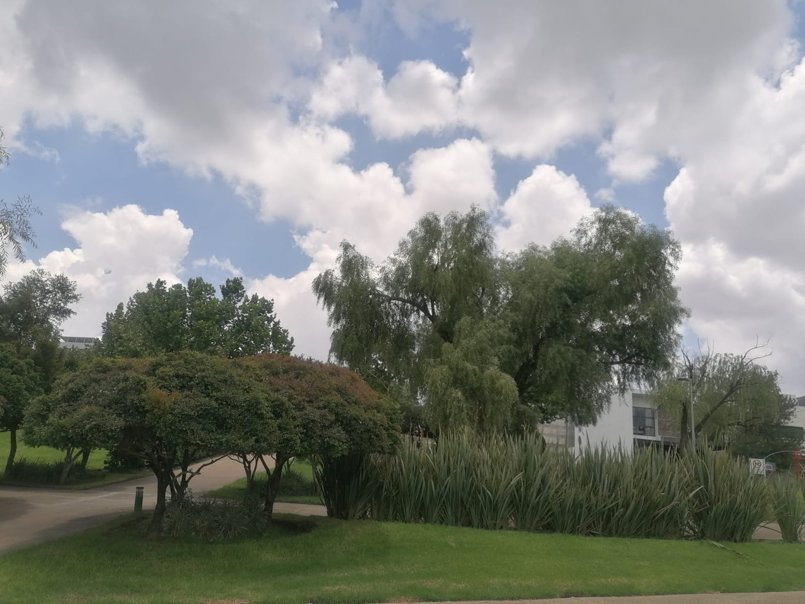TERRENO EN VENTA EN VALLE IMPERIAL  COTO BRITANICO (4)RO — foto 2