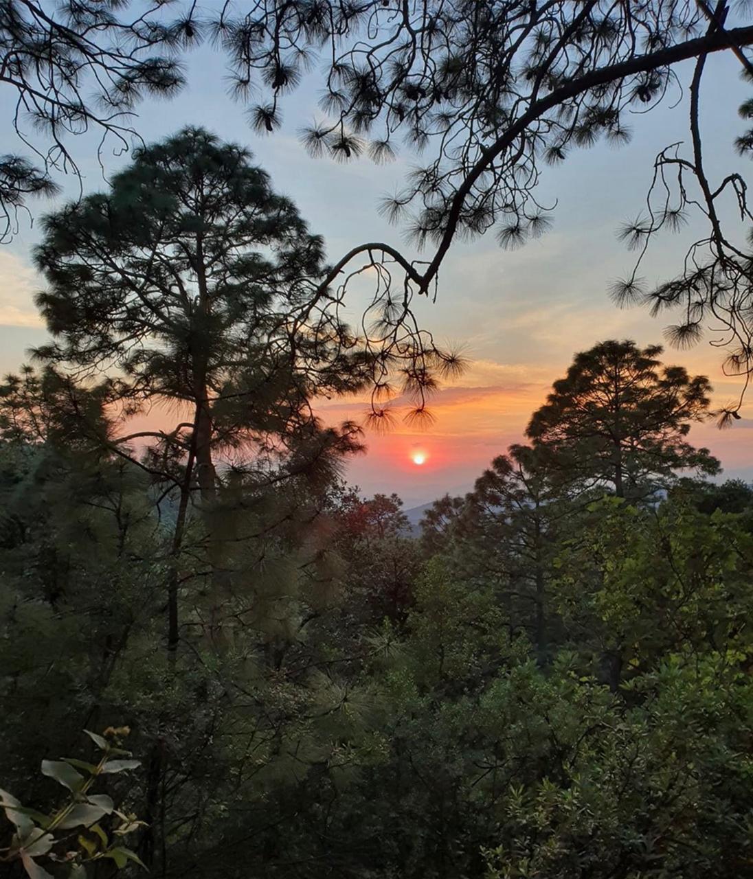 TERRENO EN VENTA EN MAZAMITLA (6)A — foto 2