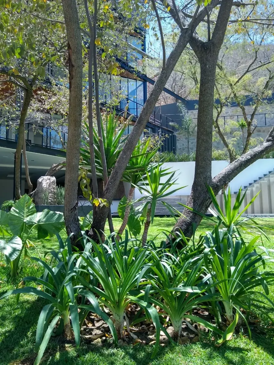RESIDENCIA EN VENTA EN LAS CAÑADAS (3)RI — foto 3