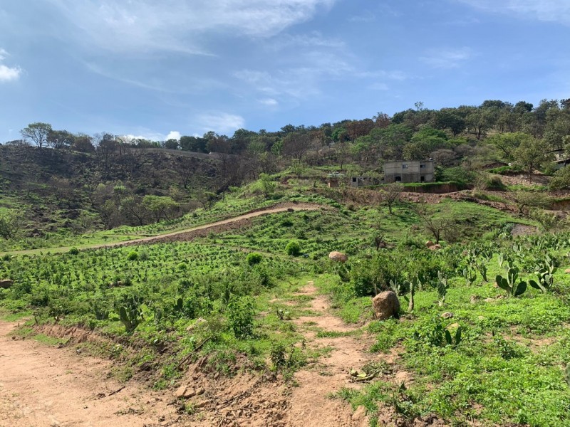 TERRENO EN VENTA EL GIRON SAN ESTEBAN (3)RI — foto 2