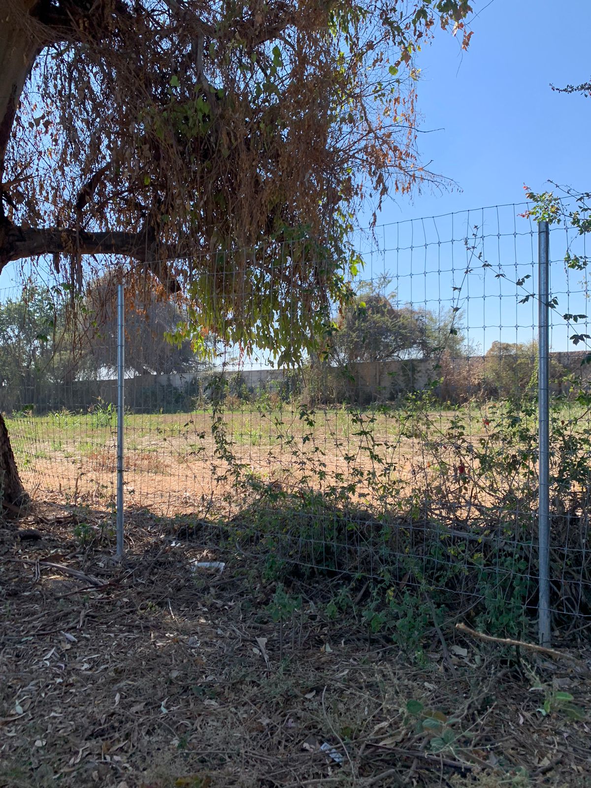 TERRENOS EN VENTA EN CHAPALA (4)RO — foto 2