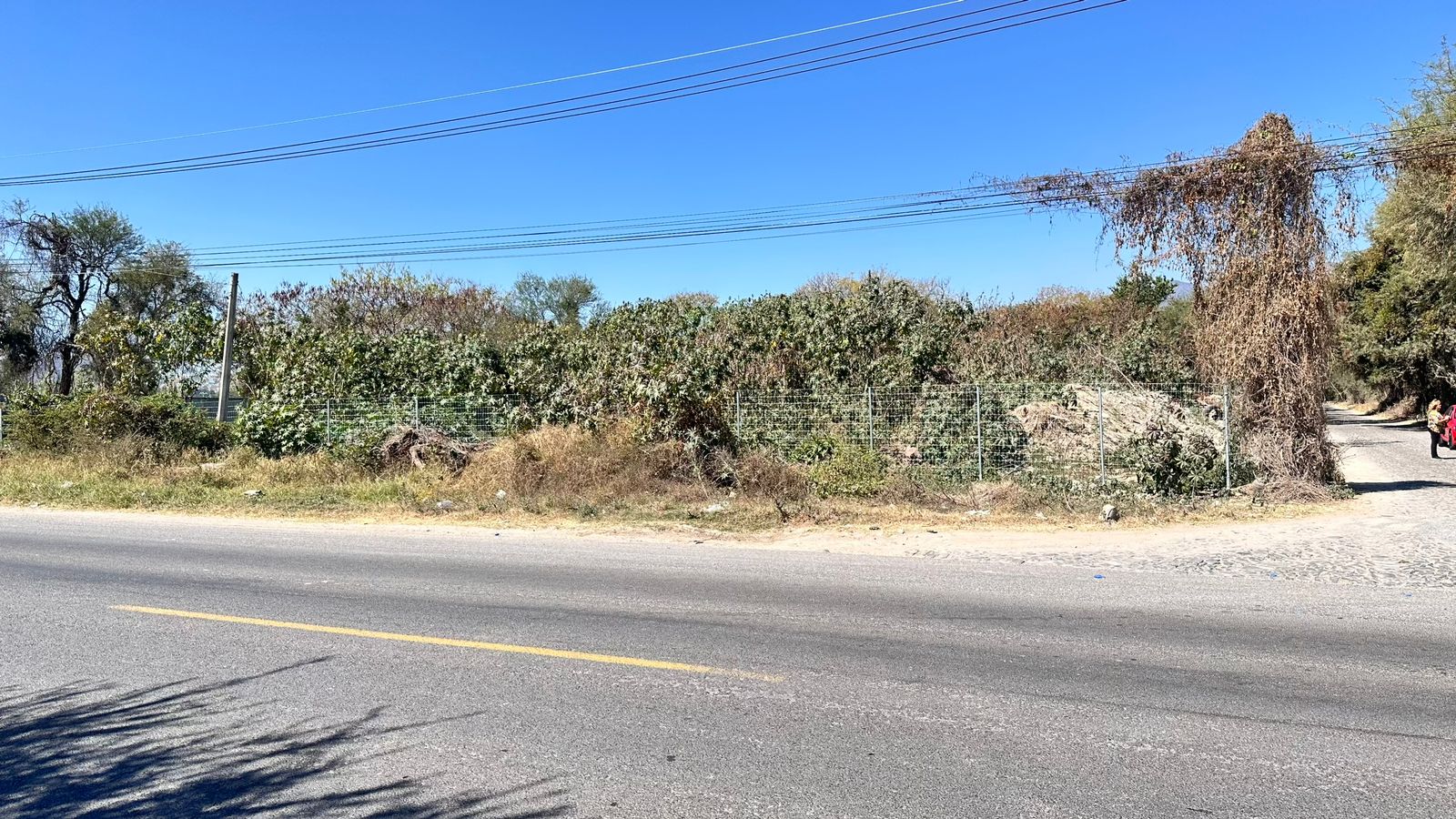 MACRO LOTE EN VENTA CHAPALA (4)RO — foto 3