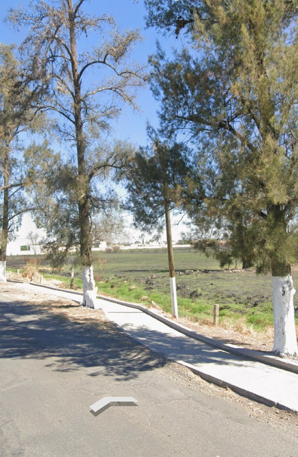 TERRENO EN RENTA  IXTLAHUACAN DE LOS MEMBRILLOS  (E) — foto 3