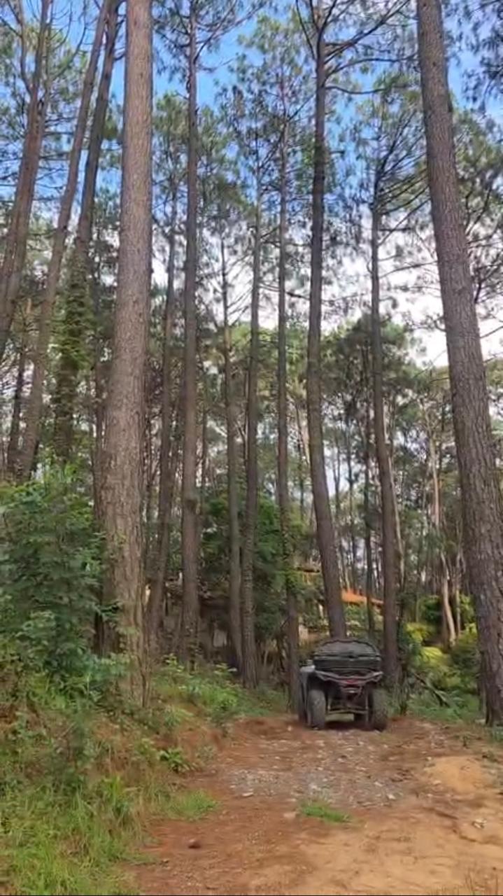 TERRENO EN VENTA EN MAZAMITLA (5)T — foto 2