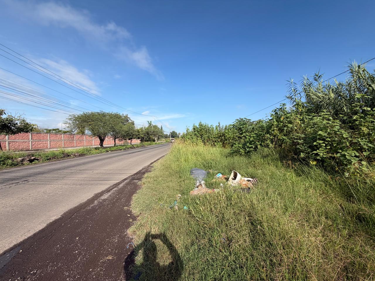 TERRENO EN VENTA EN IXTLAHUACAN DE LOS MEMBRILLOS (3)T — foto 2