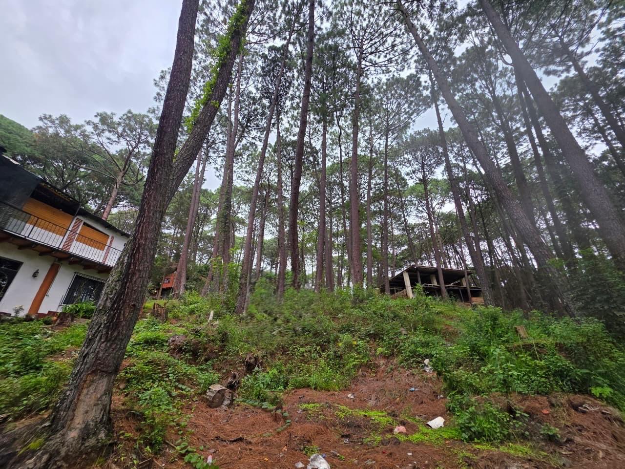 TERRENO EN VENTA EN IXTLAHUACAN DE LOS MEMBRILLOS (3)T